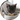 Cat Dry Food