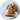 Dog Dry Food